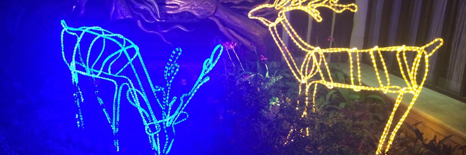 AnneyshaBiswas's profile banner image