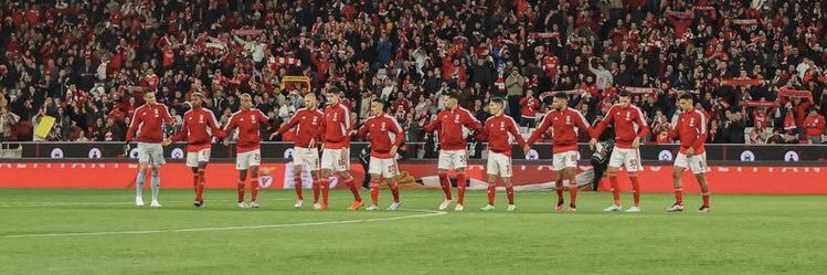 pedro simão 🇦🇹 banner