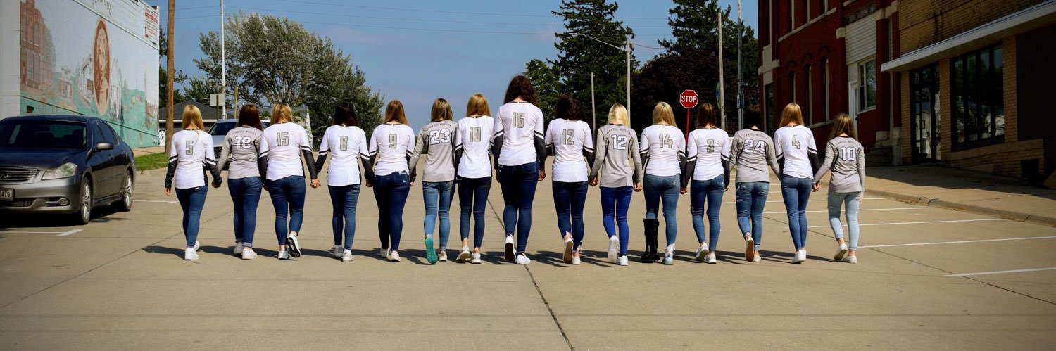 EM Lady Knights Volleyball banner