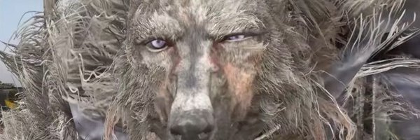 Tambangwoof Profile Banner