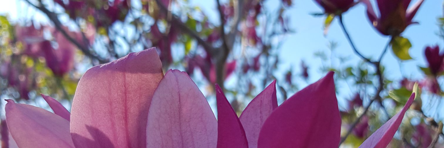 Tati895's profile banner image