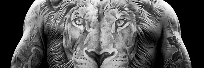 n0tLion's profile banner image