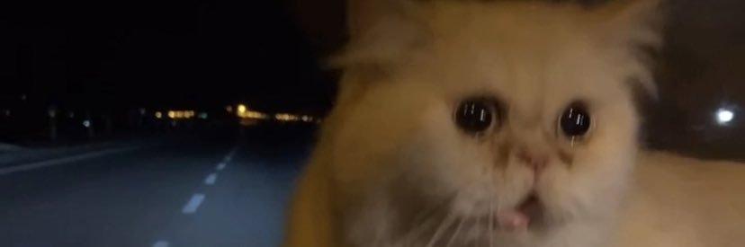 buzcuuuu's profile banner image