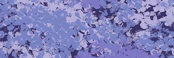 lilac🪷 banner