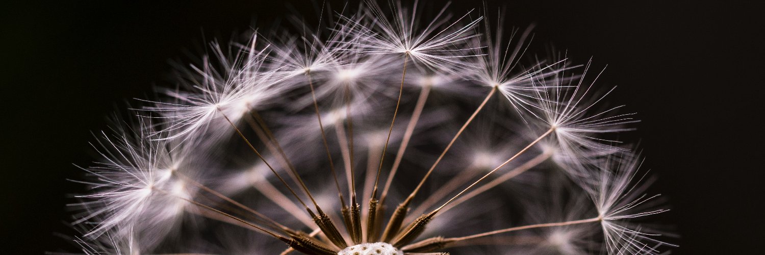 Akosua (she/her) banner