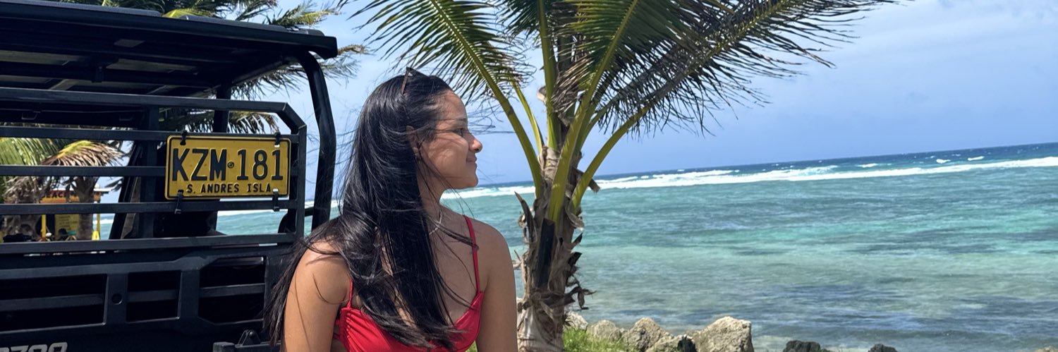mellopees's profile banner image