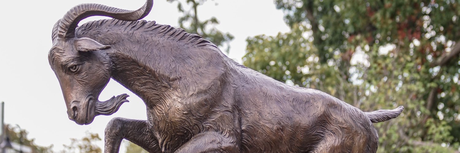 GOMPEI THE GOAT 🐐 banner