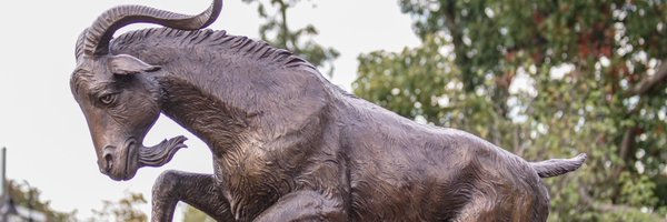 gompei Profile Banner