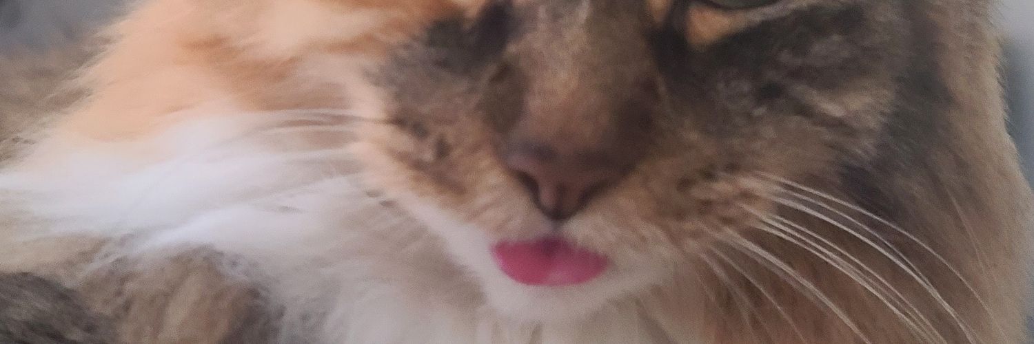 guccimaybe's profile banner image