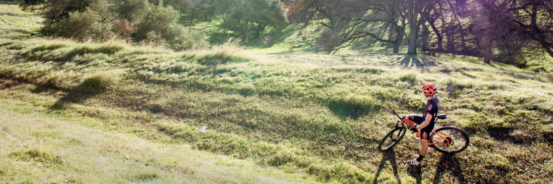 TrevorDeRuise's profile banner image