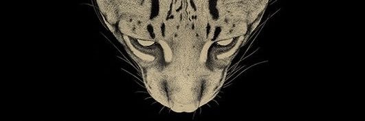 jvheyningenn's profile banner image