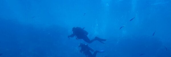 Gert_Jansen Profile Banner