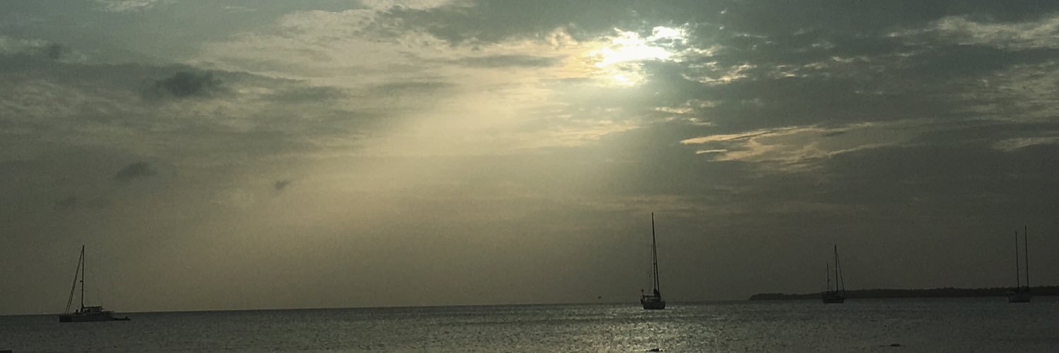 Tixarelly's profile banner image