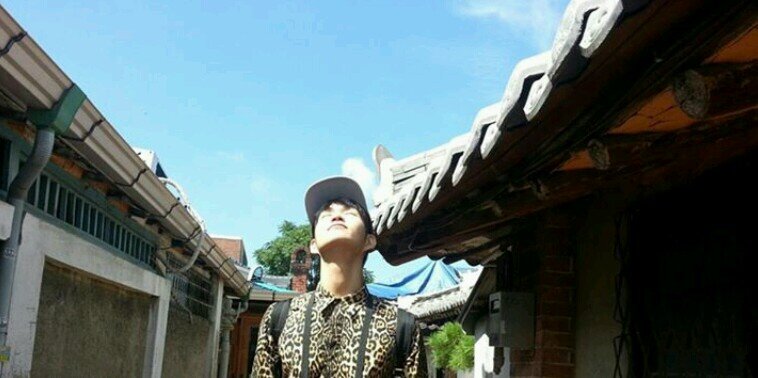 이진비 banner