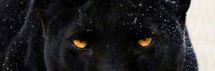 Pendaa13's profile banner image