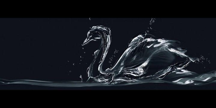 Andrew Ginge Evans banner