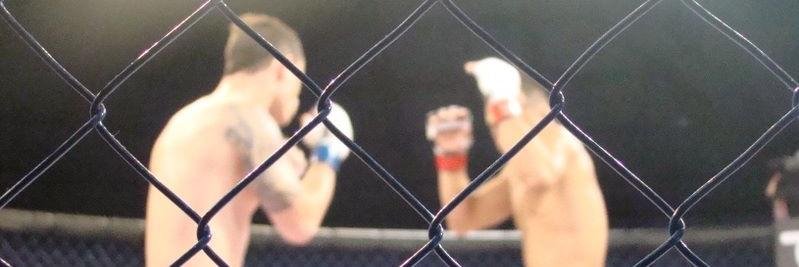 SulMMA's profile banner image