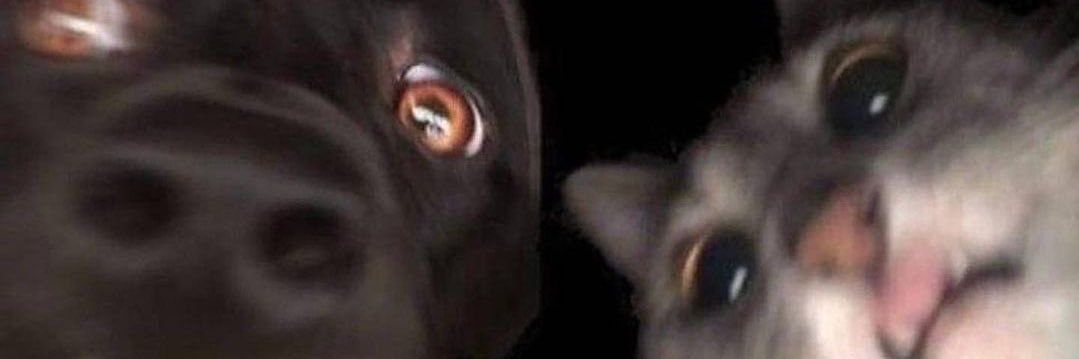 mpperezz_'s profile banner image