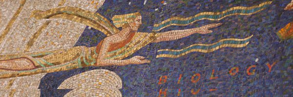 nicolasrenier Profile Banner