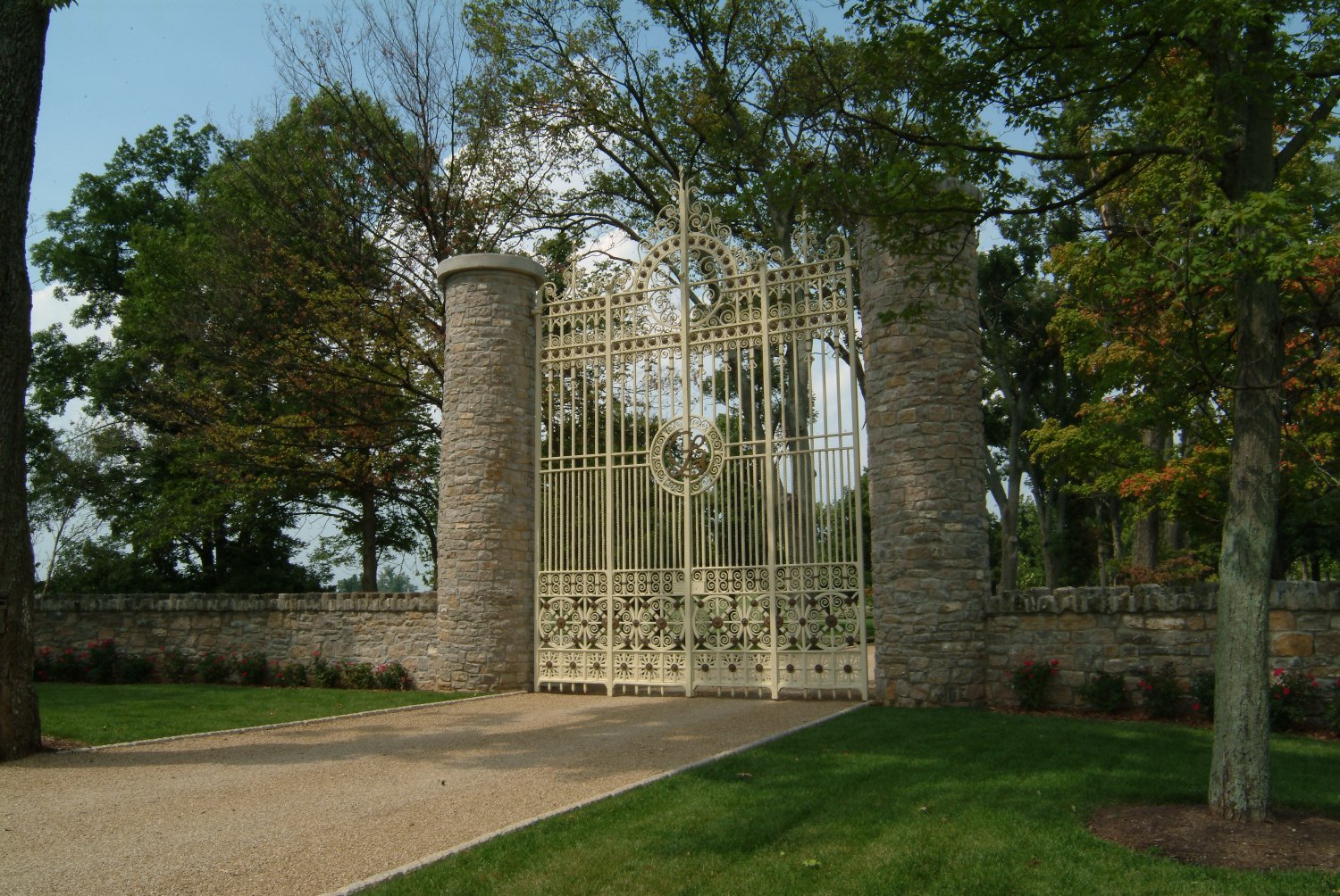 castletonlyons's profile banner image