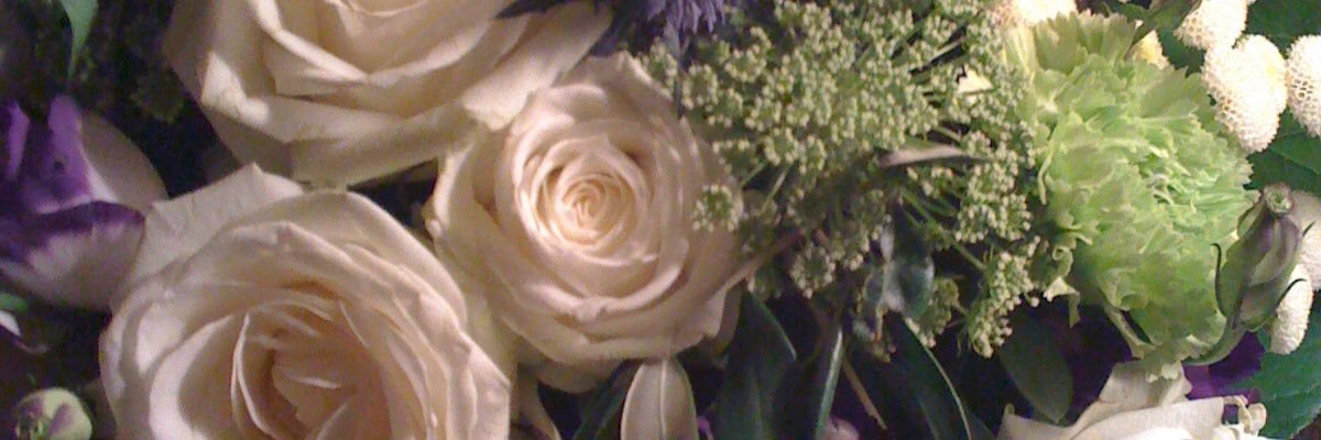 EveTheseShoes's profile banner image