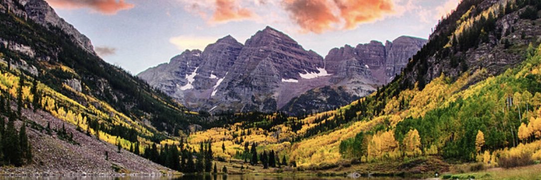 Catherine Dowhin banner