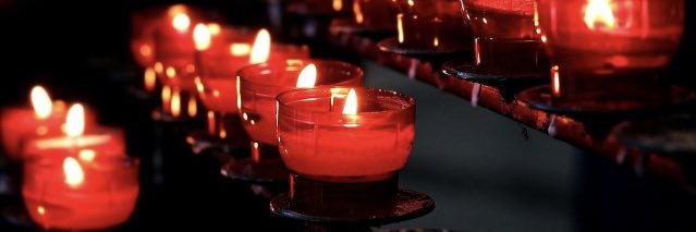 سيدة الفراشات banner