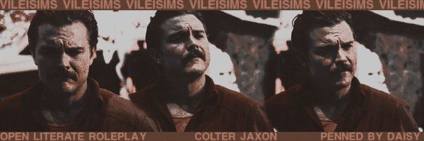 VILEISIMS Profile Banner