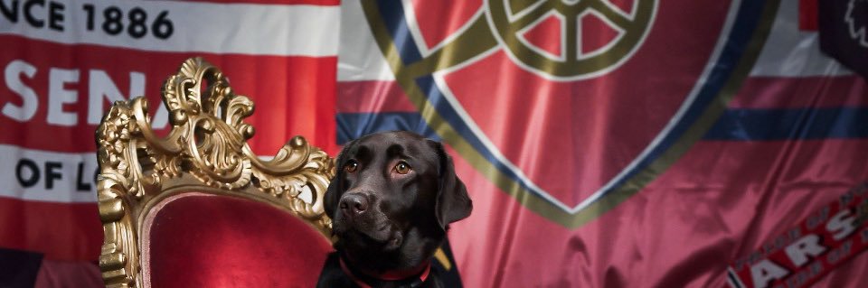 Daniel Keenan banner