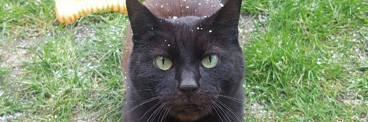 IanMcBehan's profile banner image