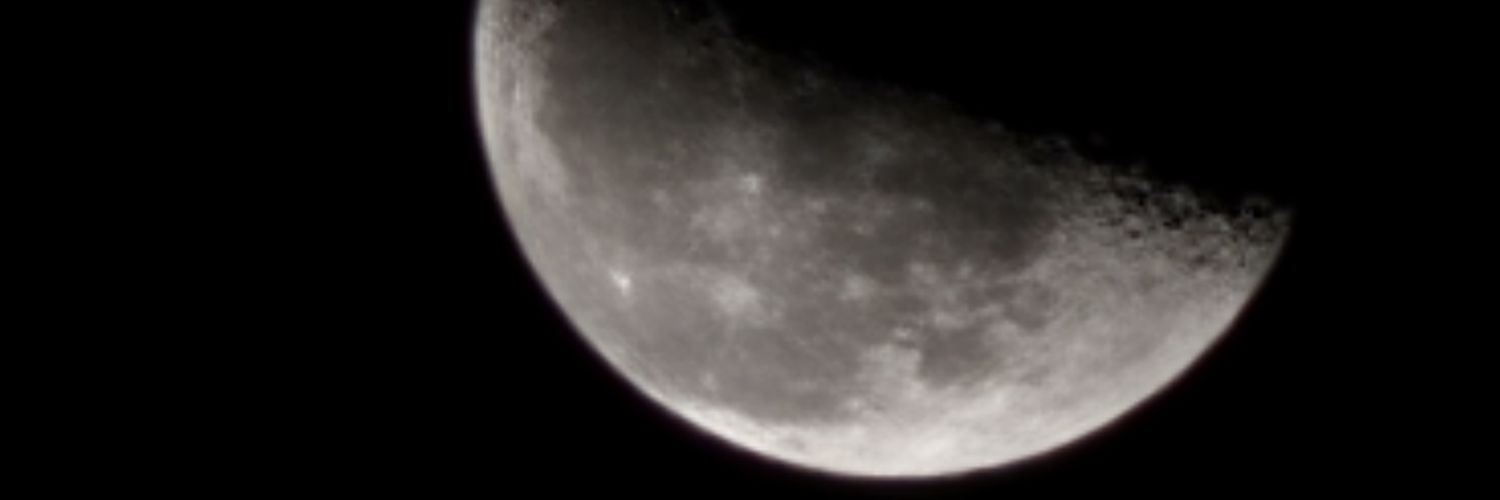 leonardo0981's profile banner image