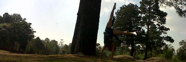 Lapichi_ Profile Banner