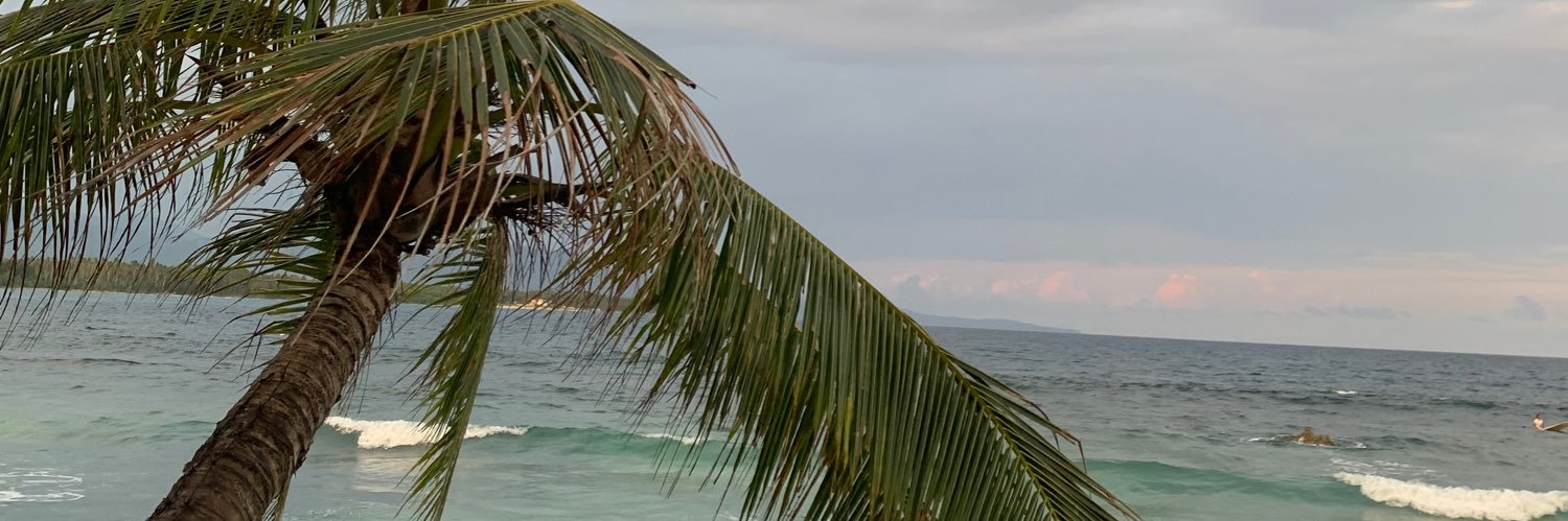 RonethObeso's profile banner image