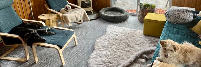 Stephanie Weiss (she/her) banner