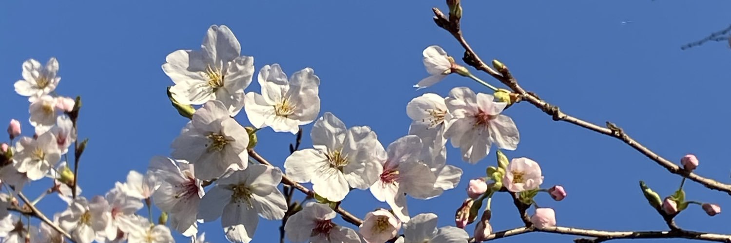 JTCvm9g's profile banner image