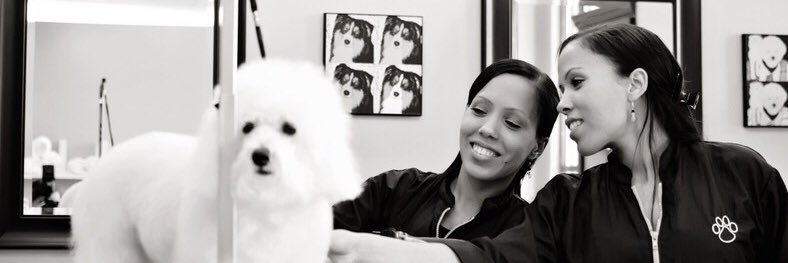 FURPETDAYSPA's profile banner image