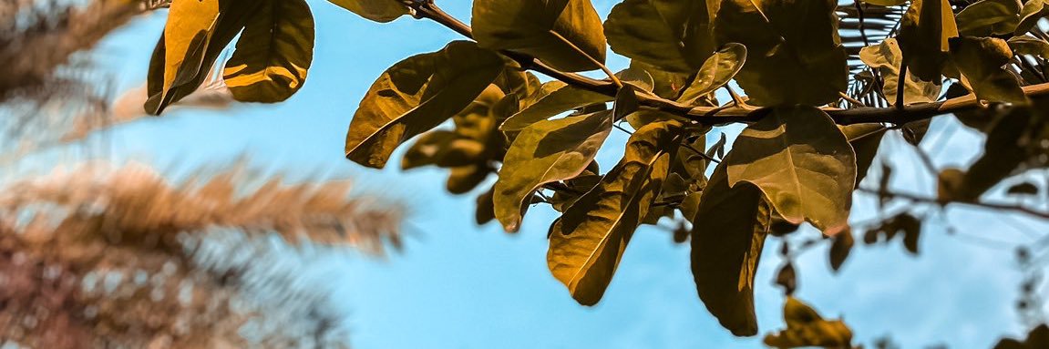 noory20_n's profile banner image