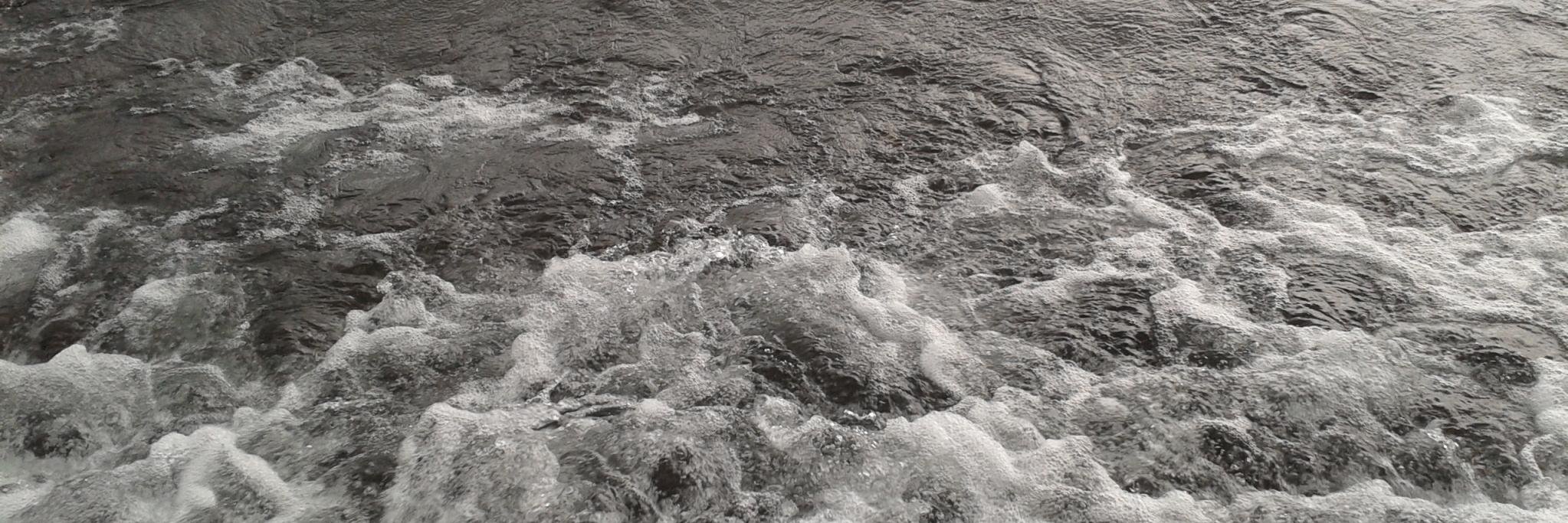 reneandrez's profile banner image