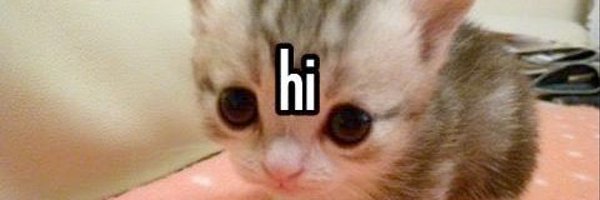 marcie_bug Profile Banner