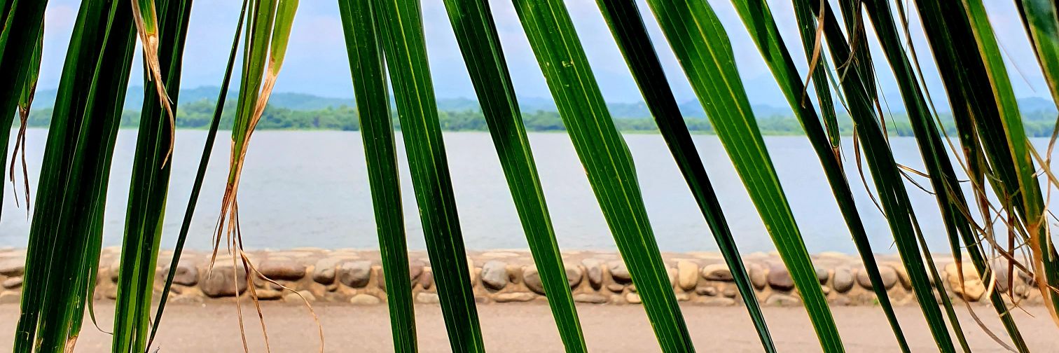 Ruchika Singh banner