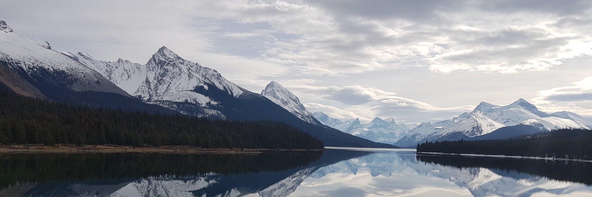 Sarah Penrose (nee Pick) banner