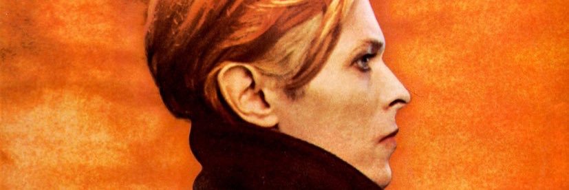 harry_beagle's profile banner image