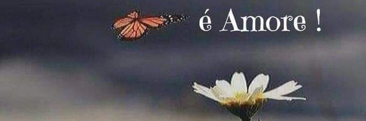 Loris Orchidea banner