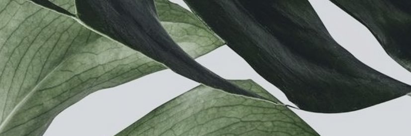 maimonah1422's profile banner image
