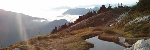 beahbl Profile Banner