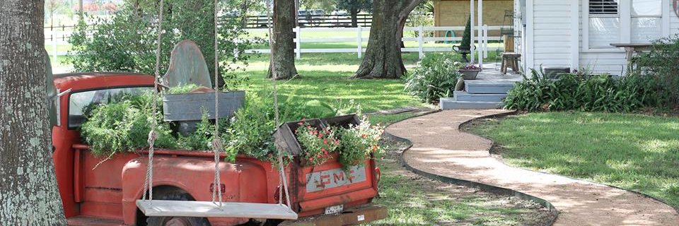 LittleEclectic's profile banner image