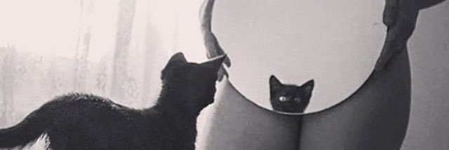 ParvinnnXO's profile banner image