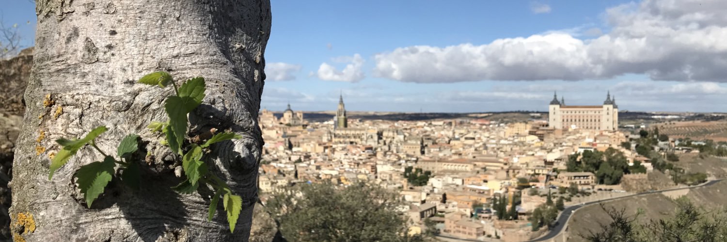 Almeces de Toledo 🌳 banner