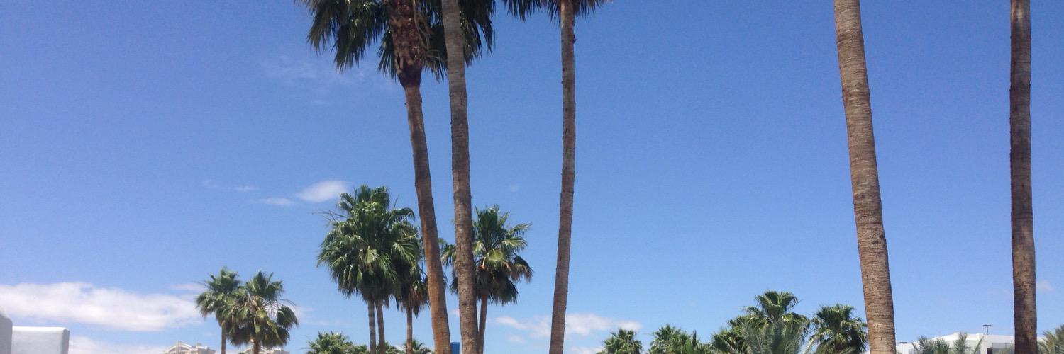 VegasLEX's profile banner image