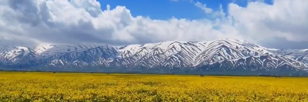 mem_tekin07's profile banner image